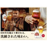 ステラ アルトワ 330ml x 24