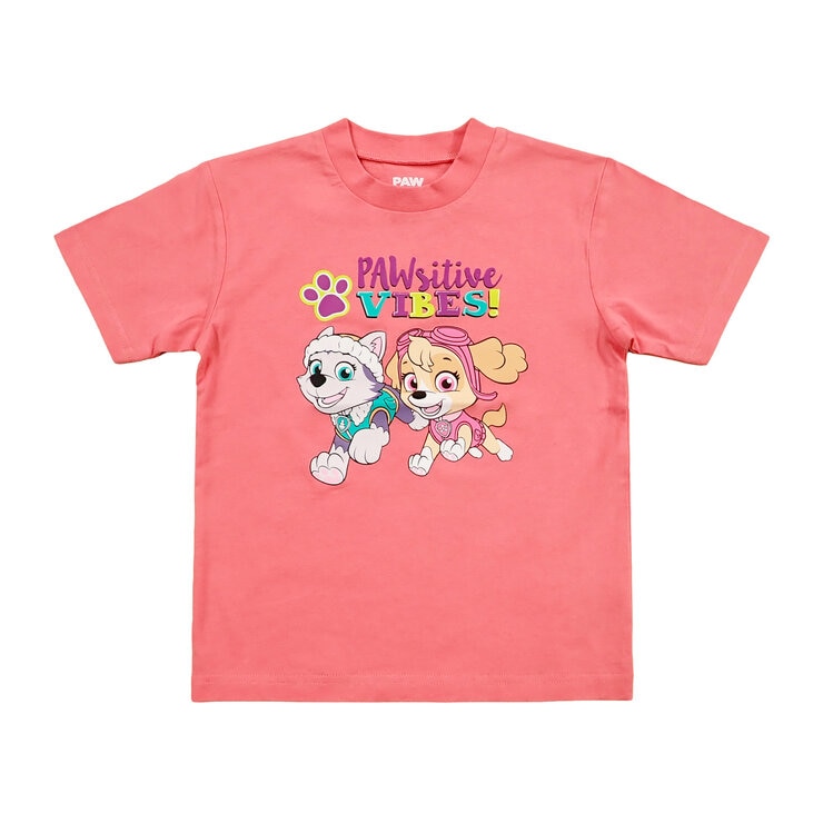 パウパトロール キッズ Tシャツ 4枚セット アソート D 110