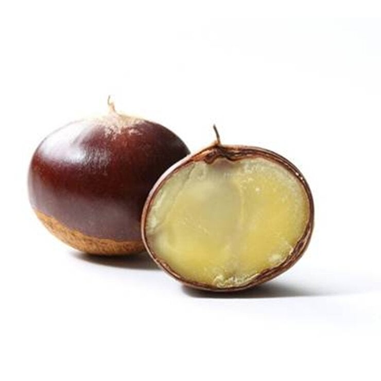 和栗1.3kg 和栗1.3kg