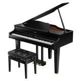 ローランド 電子ミニグランドピアノ GP607-PES