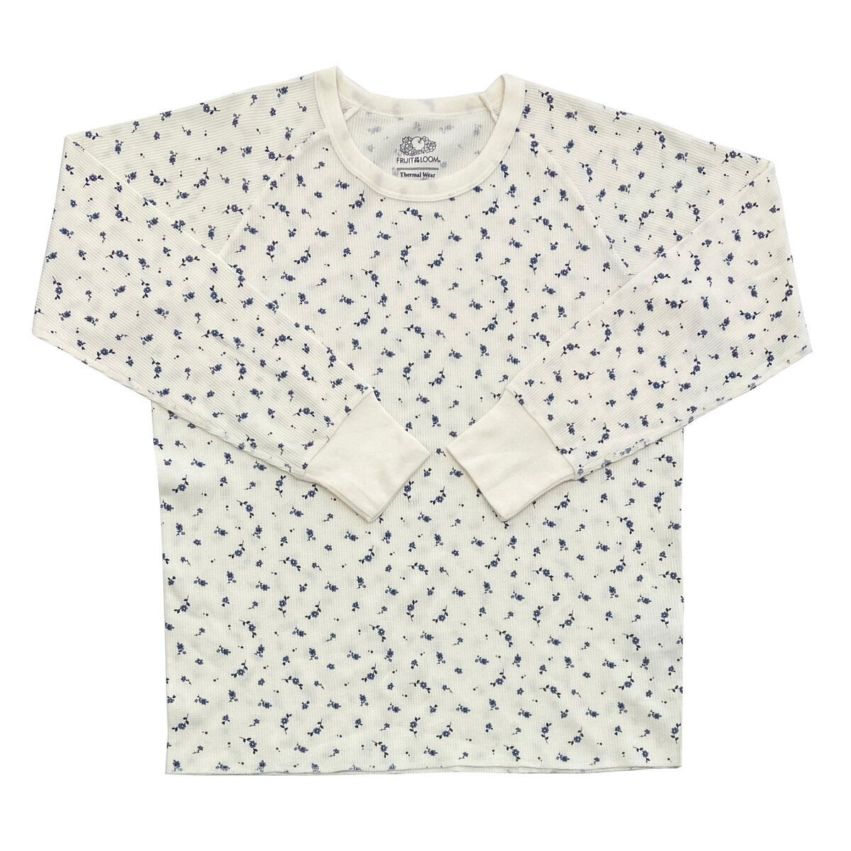 フルーツ オブ ザ ルーム 長袖 ラウンジウェアセット ブルー XL