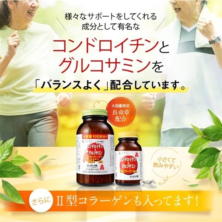 コンドロイチン＆グルコサミン100日分
