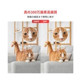 スイッチボット 見守りカメラ 3MP ２個セット W3101100