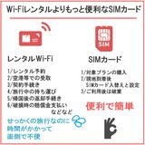 DHA SIM アメリカ/ハワイ/カナダ 10GB/30日/DHA-SIM-179