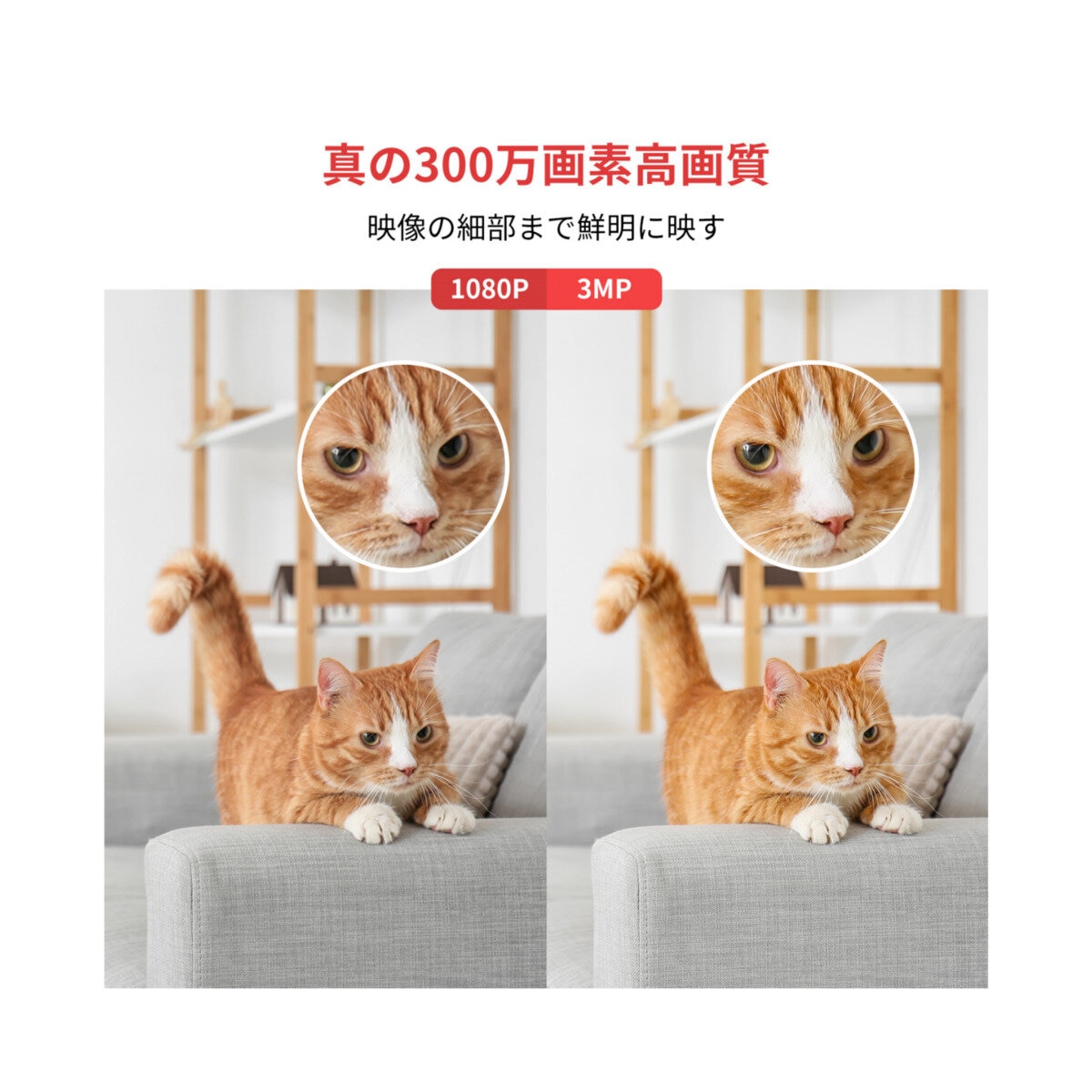 スイッチボット 見守りカメラ 3MP ２個セット W3101100