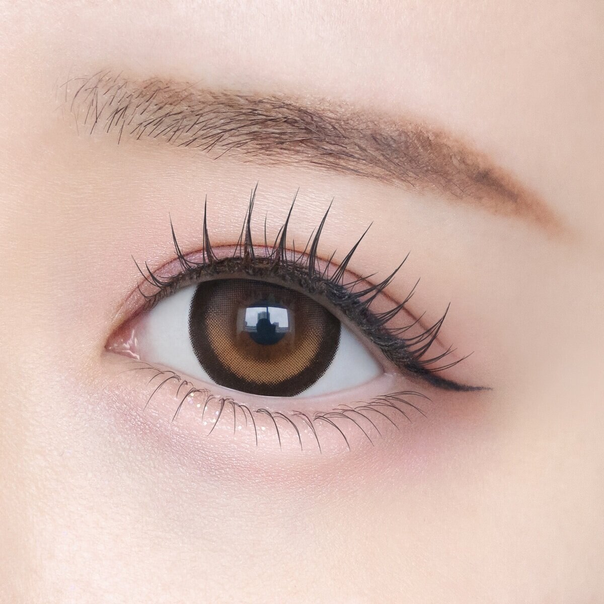 シャプン ワンデー ときとめブラウン 10枚入り 齊藤なぎさイメージモデルカラコン 度なし (±0.00)