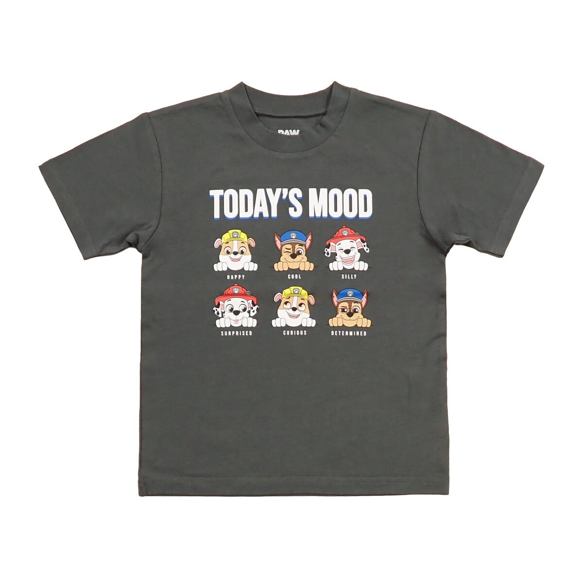 パウパトロール キッズ Tシャツ 4枚セット アソート B 95