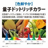 シャープ アクオス 75インチ 4KMiniLED液晶テレビ 4T-C75EP1