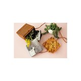 Uchinoko うちのニャンコ毛並ハンカチ 25cm x 25cm 4枚組