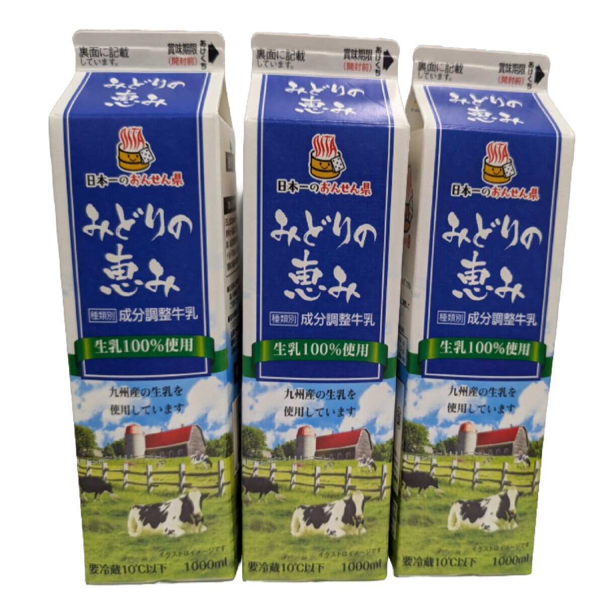 【一点もの】ミルクさま専用です☆ 調整牛乳 みどりの恵み 1L x 3 | Costco Japan