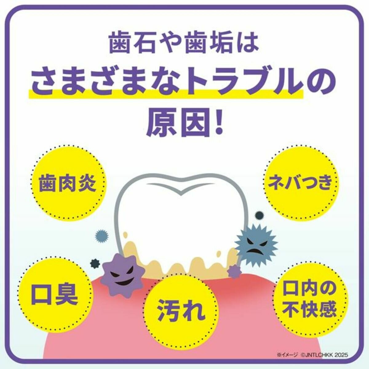 リステリン プロケア 1L x 3本セット