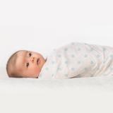 スワドルデザイン おくるみセット4枚組 ストライプ/ライオン/スター/ドット（パステルブルー）