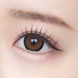 シャプン ワンデー みつめてブラウニー 10枚入り 齊藤なぎさイメージモデルカラコン 度なし (±0.00)