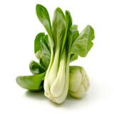 青梗菜 600G