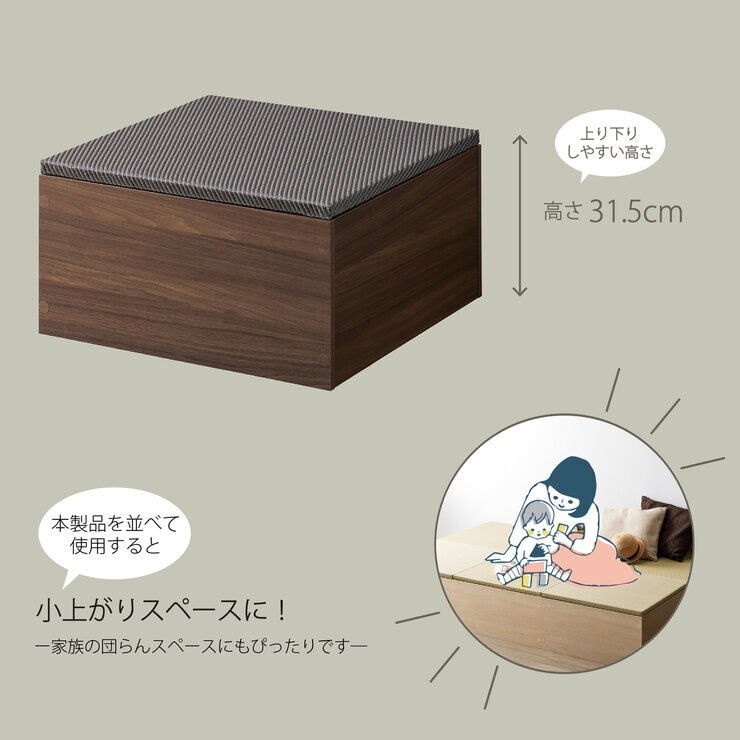 ゼンキューブ 畳ボックス ダークブラウン x ダークグレー ZCM-3060BX-DB-DG