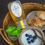 からだに優しい乳酸菌はちみつ 300g