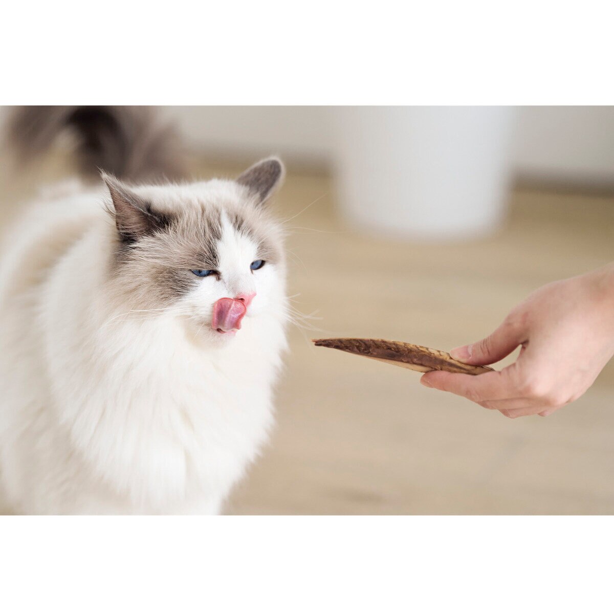 焼かつお 3種アソート 30本