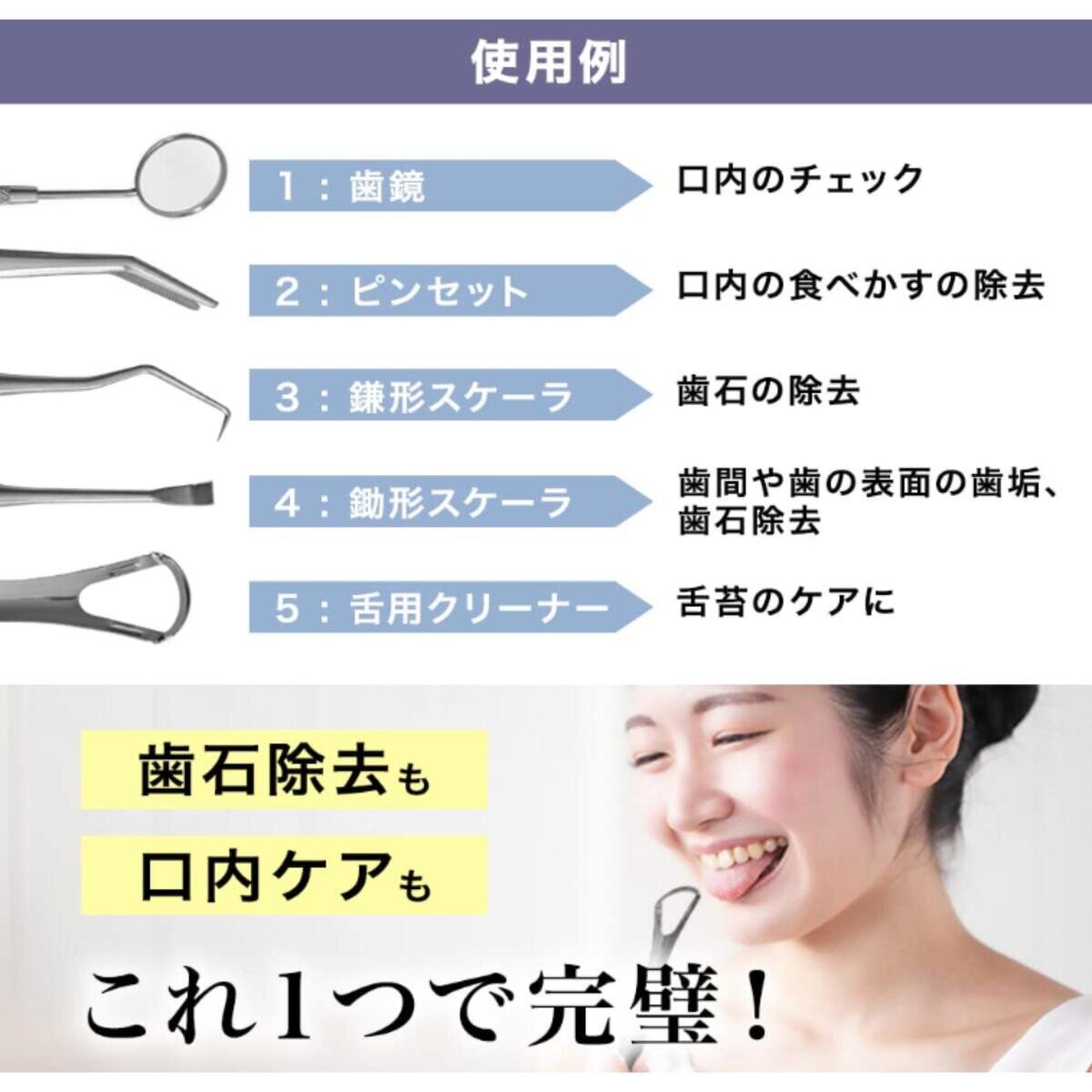 THE歯石取りデンタルツール 5点セット