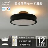 Edison Smart（エジソンスマート）デュアルシーリングライト（無線式） ブラックDBC-RF50BKBK