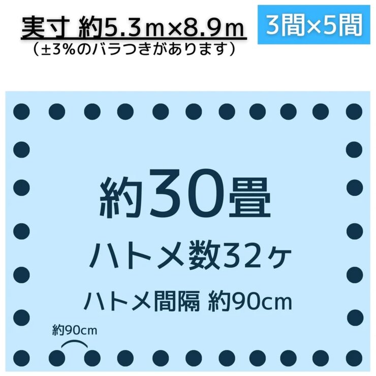 アイネット #3000ブルーシート 5.4 x 9.0m アイネット #3000ブルーシート 5.4 x 9.0m