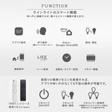 Edison Smart （エジソンスマート）ラインライト 800MM ブラック RST-TL172-800
