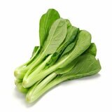 小松菜 400G X 2PC