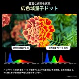 ハイセンス 100インチ 量子ドット4K液晶スマートテレビ 100U7N ハイセンス 100インチ 量子ドット4K液晶スマートテレビ 100U7N