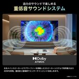 ハイセンス 100インチ 量子ドット4K液晶スマートテレビ 100U7N ハイセンス 100インチ 量子ドット4K液晶スマートテレビ 100U7N