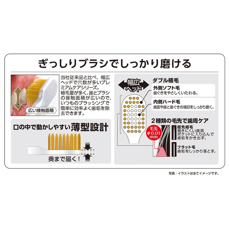 エビス プレミアムケアブラシ シリーズ 6列 レギュラー やわらかめ