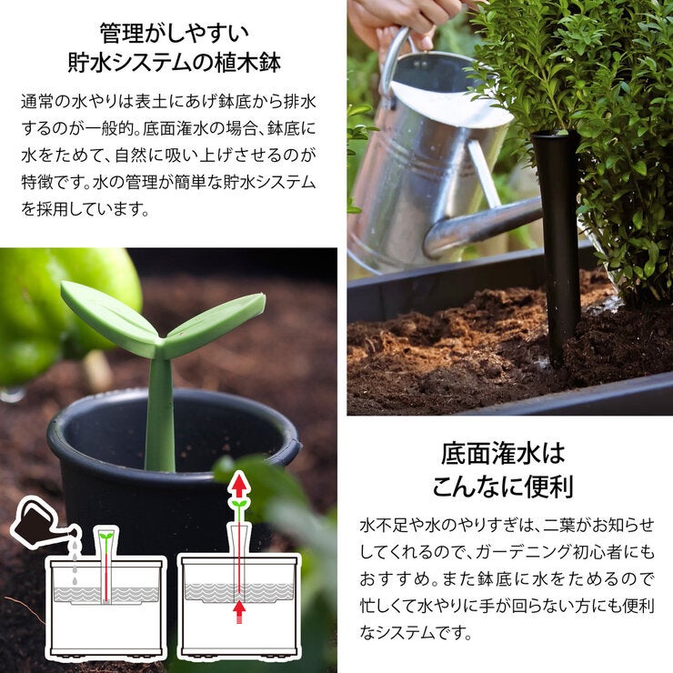 ケター Sequoia プランター Lサイズ ケター Sequoia プランター Lサイズ