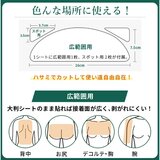 THE スポットエイド 大判シートタイプ 背中 ・おしり用 4枚 & スポット用 8枚