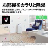 シャープ プラズマクラスター冷風・衣類乾燥除湿機 CM-R100-W