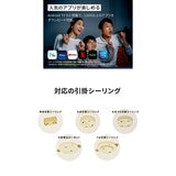 Anker（アンカー）ネビュラ Nova シーリングライト プロジェクター