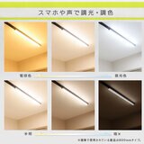 Edison Smart （エジソンスマート）ラインライト 800MM ブラック RST-TL172-800