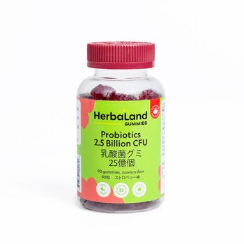 HERBALAND 乳酸菌グミ 90粒入