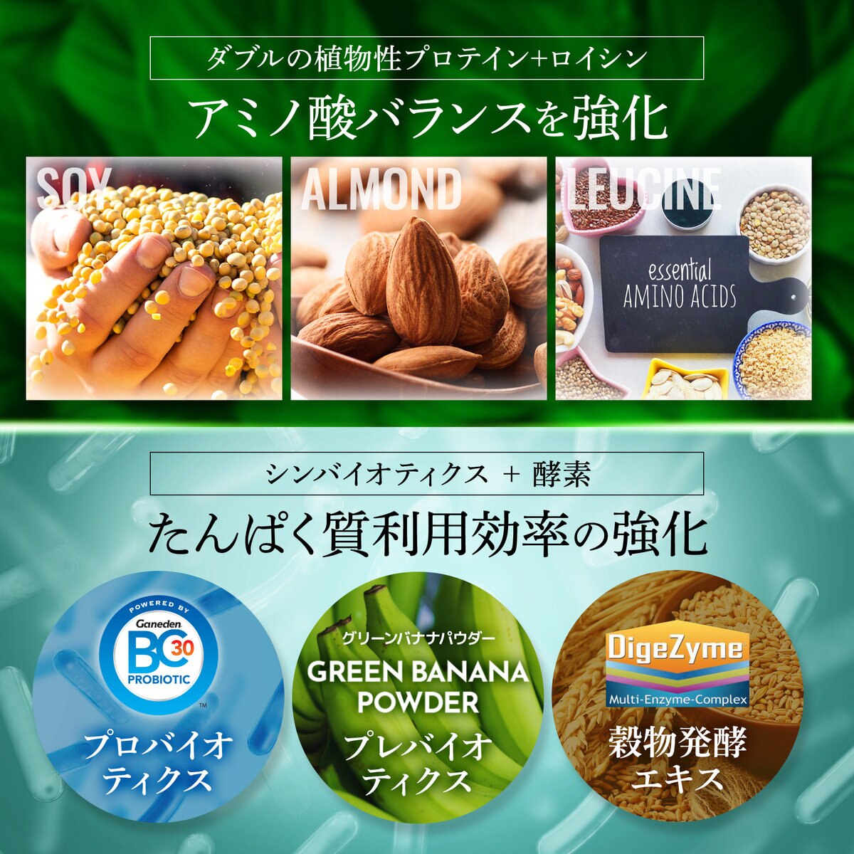 HALEO ソイプロテイン チョコレートバナナ風味 1080g HALEO ソイプロテイン チョコレートバナナ風味 1080g