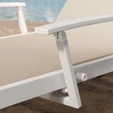 アジオ Landon サンラウンジャー 2個セット