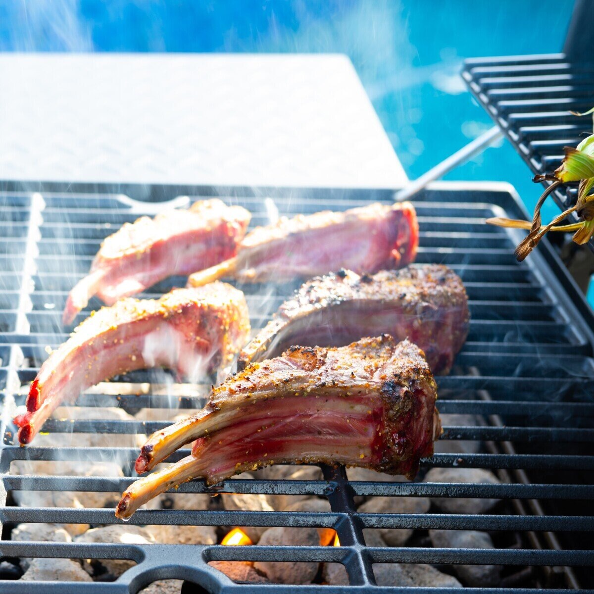デューロ 32インチ (81cm) チャコールBBQグリル