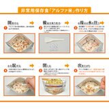 尾西食品 ごはんとおにぎり アソートセット 12食分 長期5年保存