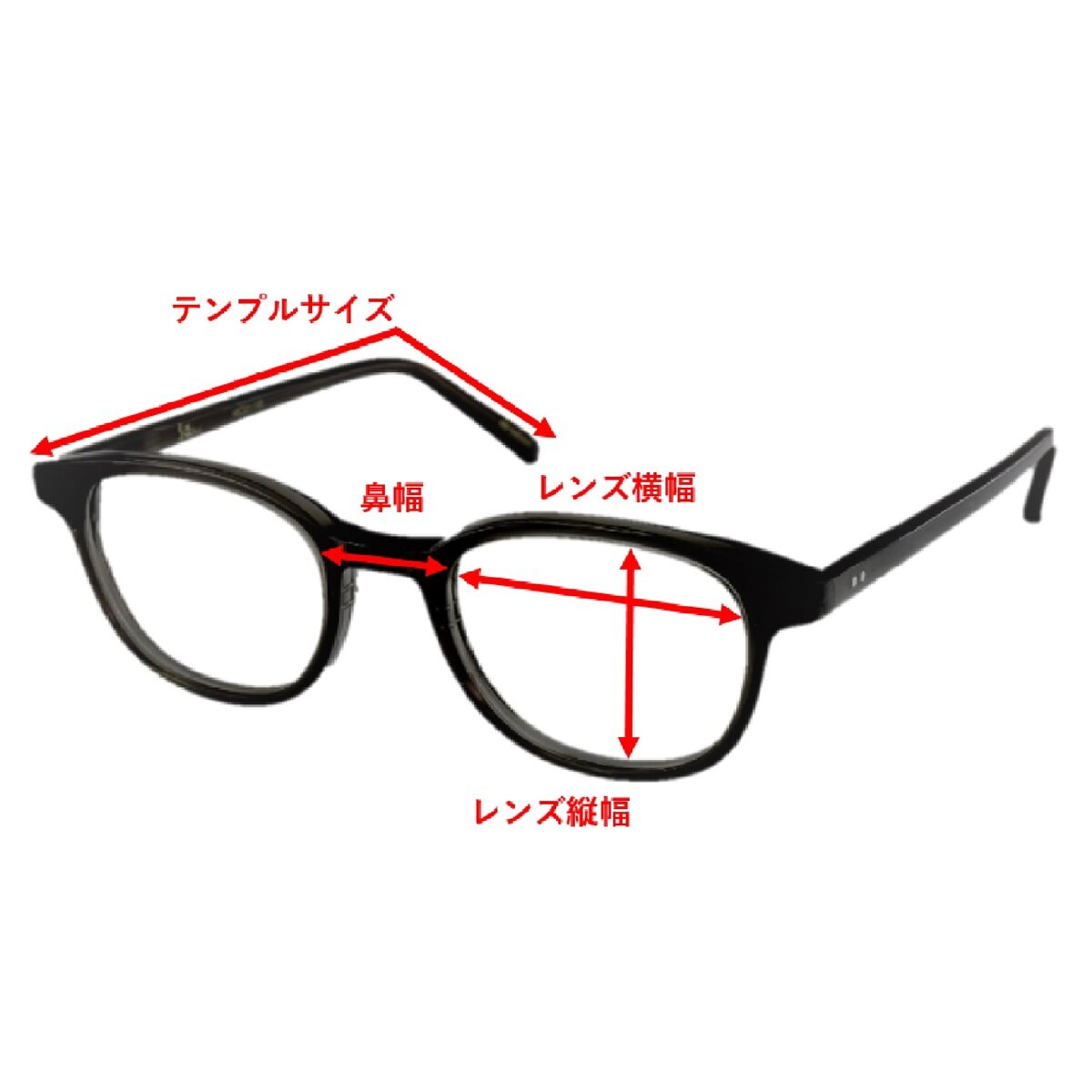 アーノルドパーマー メガネ APL-6031-48-5 | Costco Japan