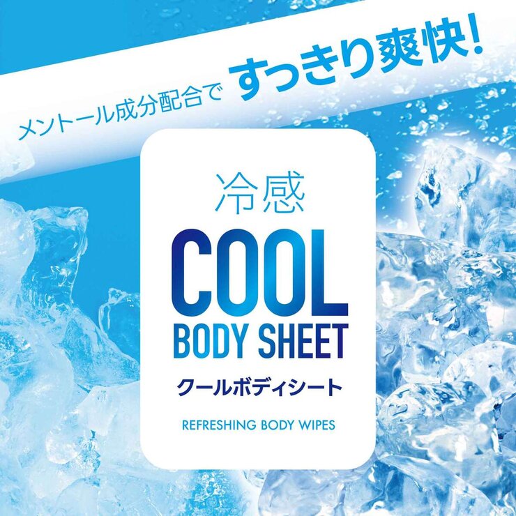クールボディシート 20シート x 48パック