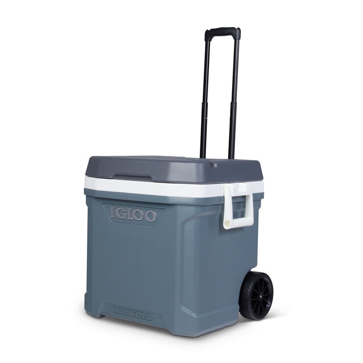 IGLOO マックスコールド クーラーボックス 62QT (58L) 　エキスパート藤沢辻堂店 Amazon | IGLOO イグルー マックスコールド クーラーボックス 58L