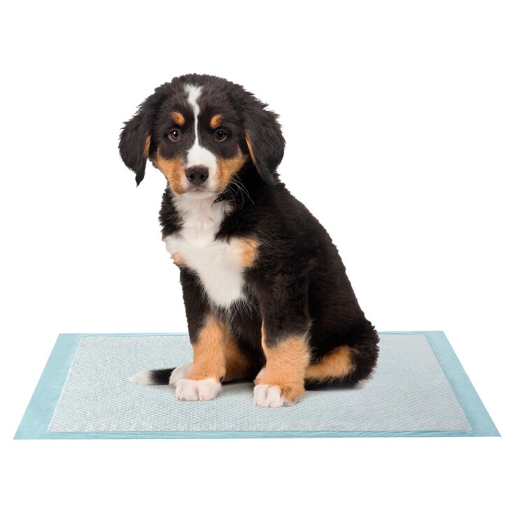 カークランドシグネチャー XL ペットシーツ 100枚