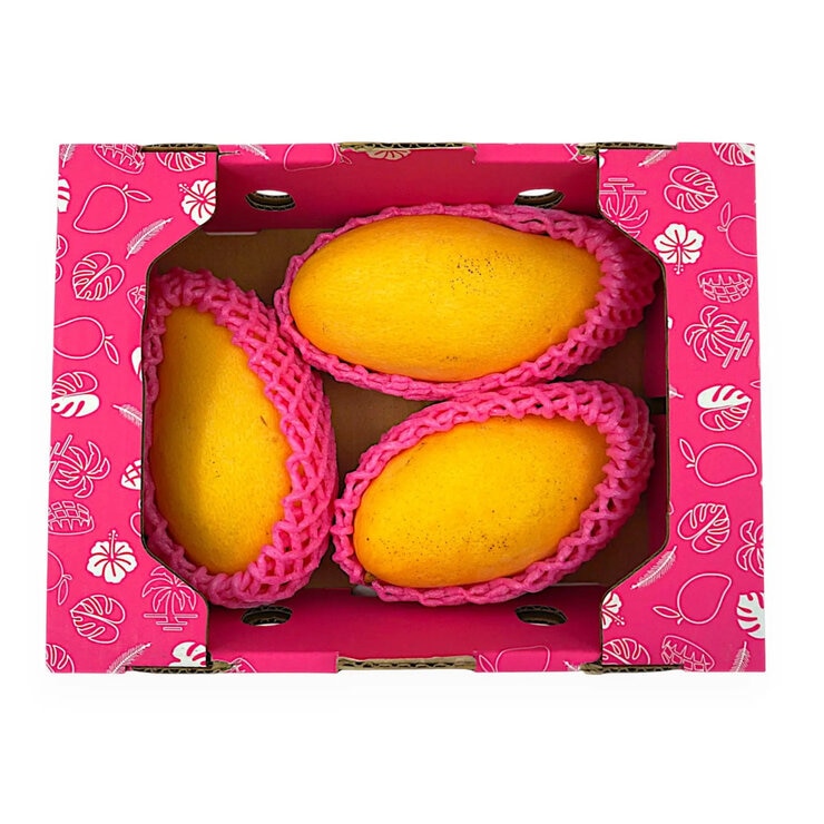 タイマンゴー1.2kg タイマンゴー1.2kg