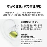 AVIOT 完全ワイヤレスイヤホン TE-M1 ブラック