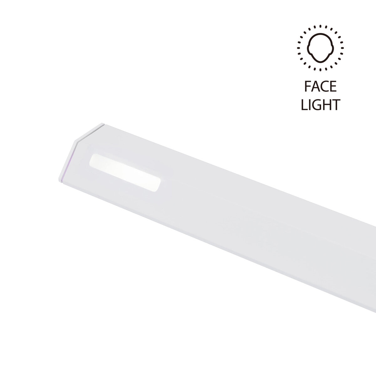 スワン エグザーム ゼータ LED モニターライト ホワイト