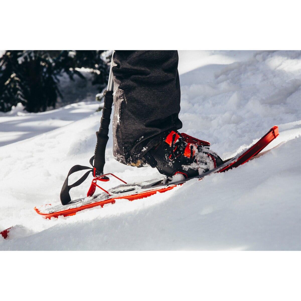 57%OFF!】 リリーズストアTubbs Panoramic Snowshoe, Grey ICE Blue