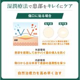 THE スポットエイド 大判シートタイプ 背中 ・おしり用 4枚 & スポット用 8枚