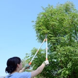 高儀 GREEN ART 伸縮刈込鋏MS-30