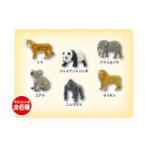 バスボール 6個セット 学研図鑑LIVE 動物